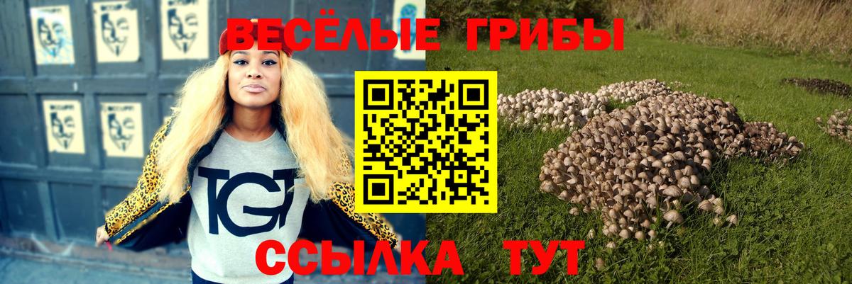 Галлюциногенные грибы Magic Shrooms  купить наркоту  Вход с VPN  Якутск  Галлюциногенные грибы Magic Shrooms 